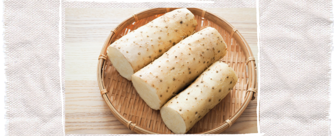 食材小知識—藥食同源篇 01 · 淮山