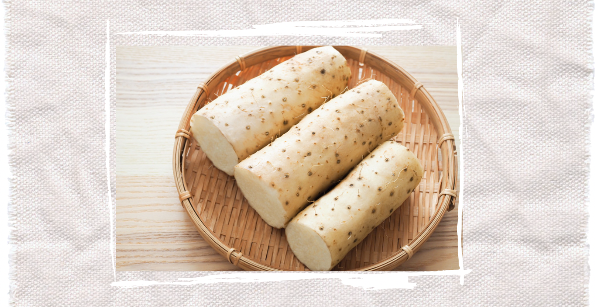 食材小知識—藥食同源篇 01 · 淮山