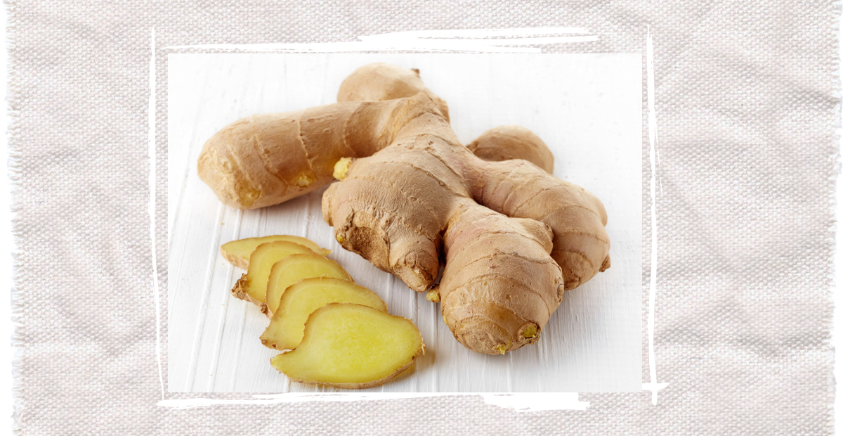 食材小知識—藥食同源篇 02 · 生薑
